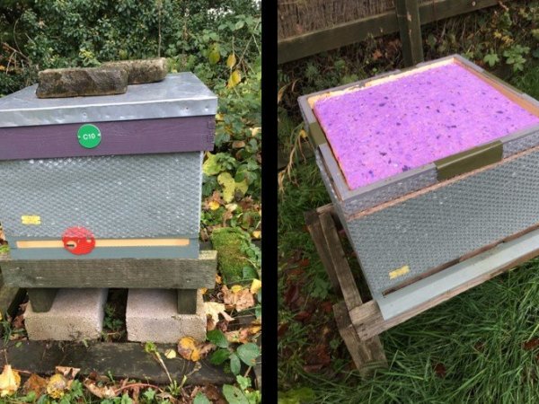 Top popular advantages of double brood&nbsp;box